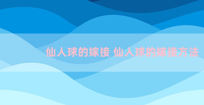 仙人球的嫁接 仙人球的嫁接方法